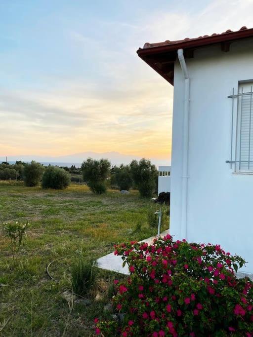 Summer House Spiti Pirgos إبانومي المظهر الخارجي الصورة